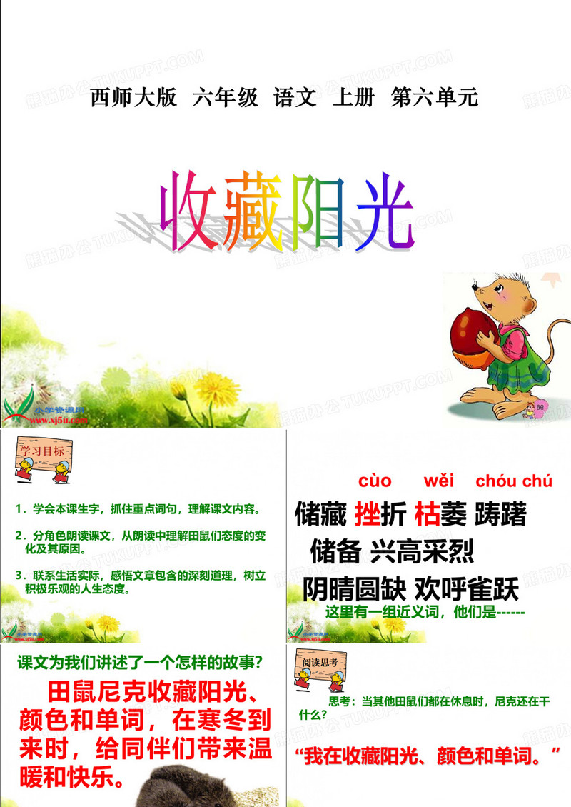 西师版六年级语文上册22《收藏阳光》PPT课件