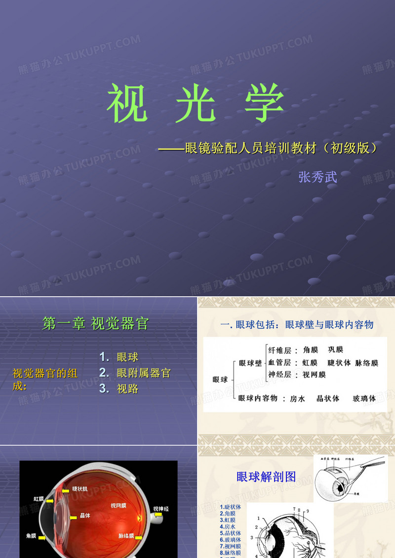 眼解剖