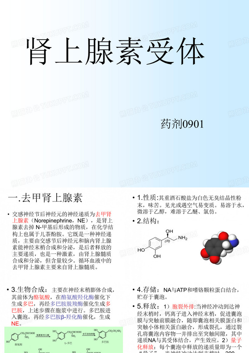 肾上腺素受体
