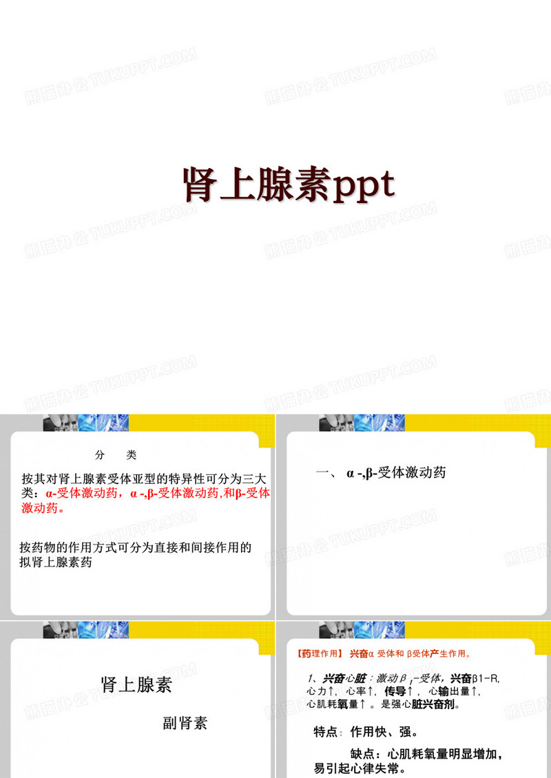 肾上腺素ppt