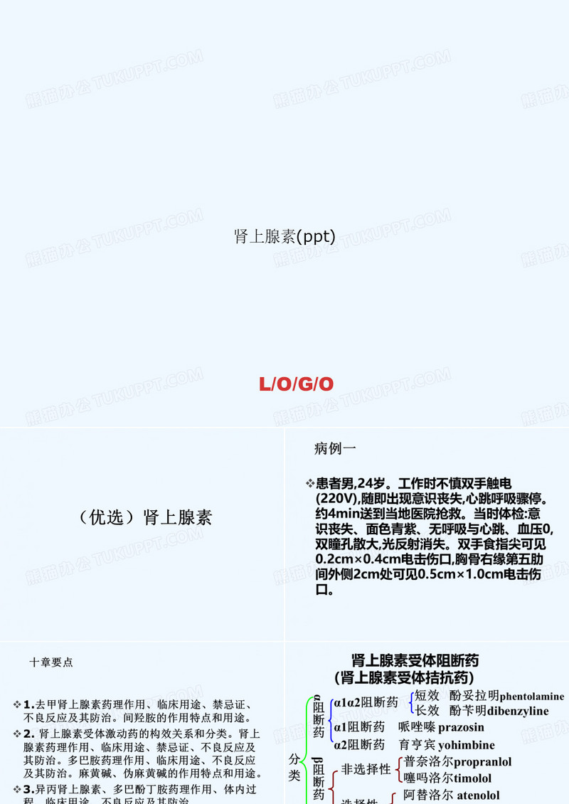 肾上腺素(ppt)