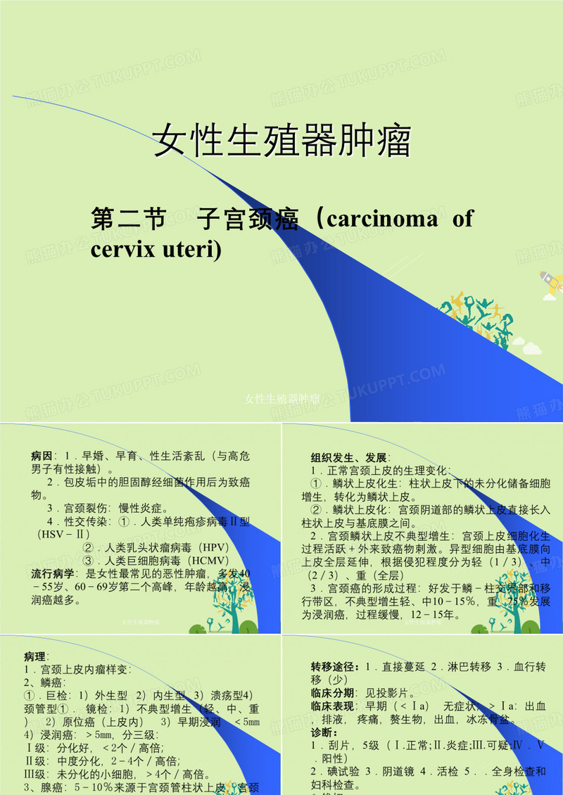 女性生殖器肿瘤