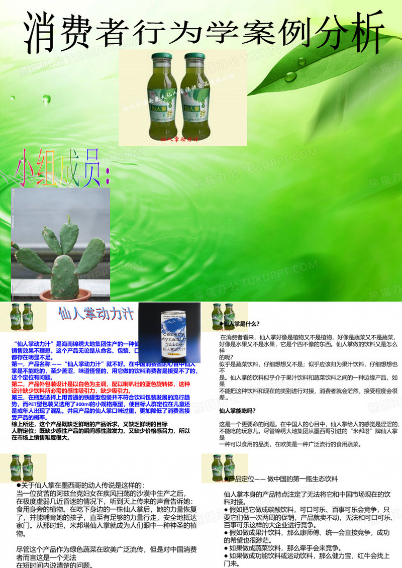 消费者行为学案例PPT