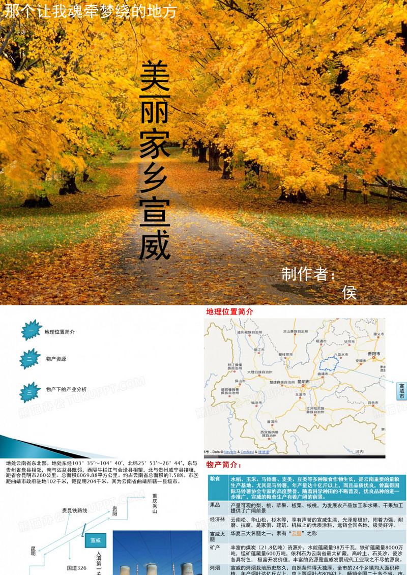 家乡介绍宣威特色农业发展-PPT文档资料