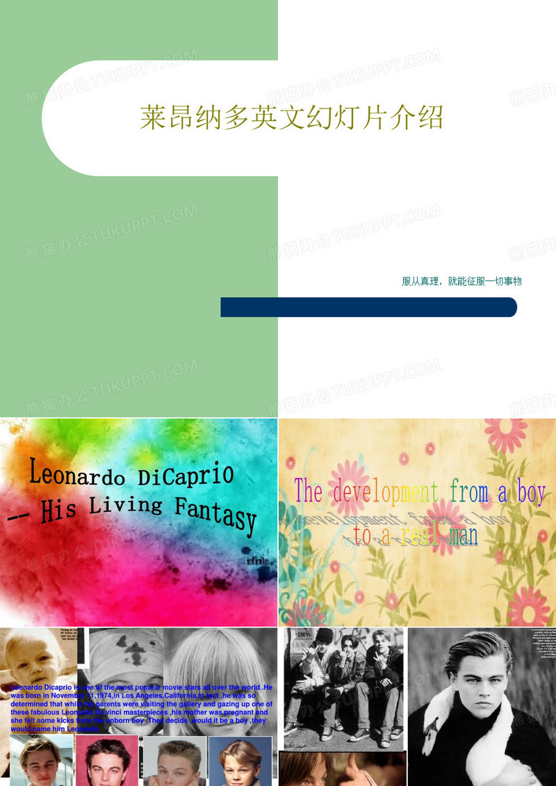 莱昂纳多英文幻灯片介绍共32页文档