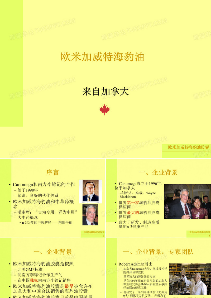 海豹油胶囊由来与产品功效PPT