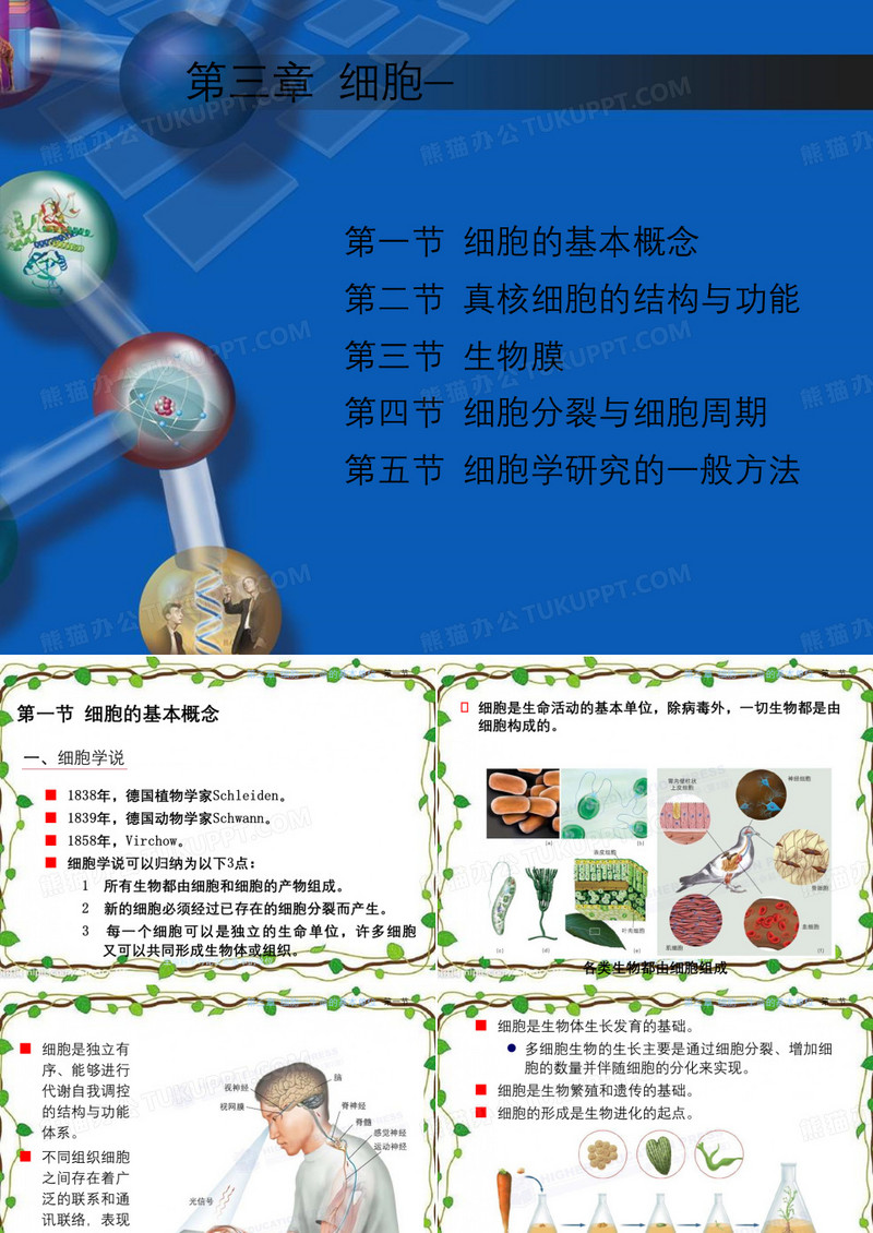 生命科学导论生命基本的单位