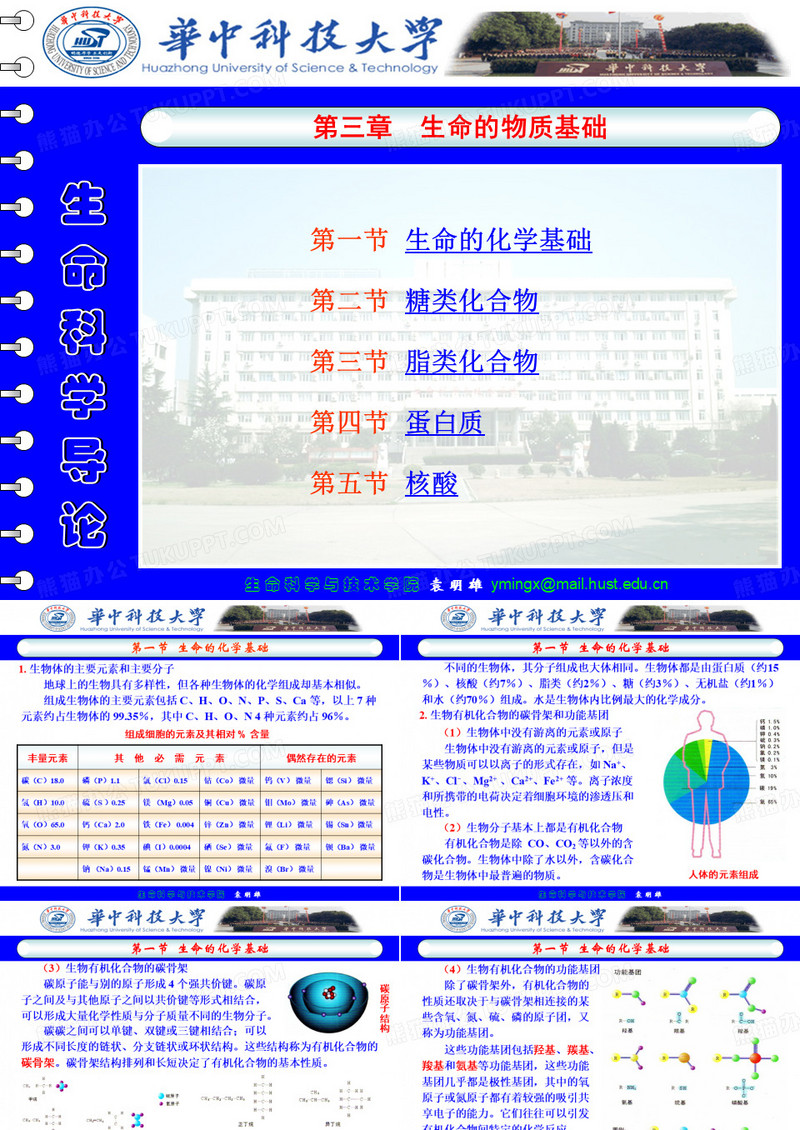 生命科学导论课件03