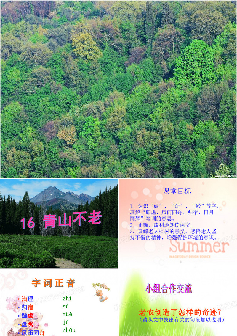 青山不老课件