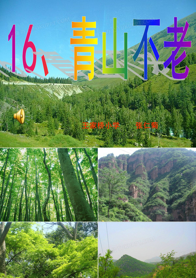 0943青山不老课件