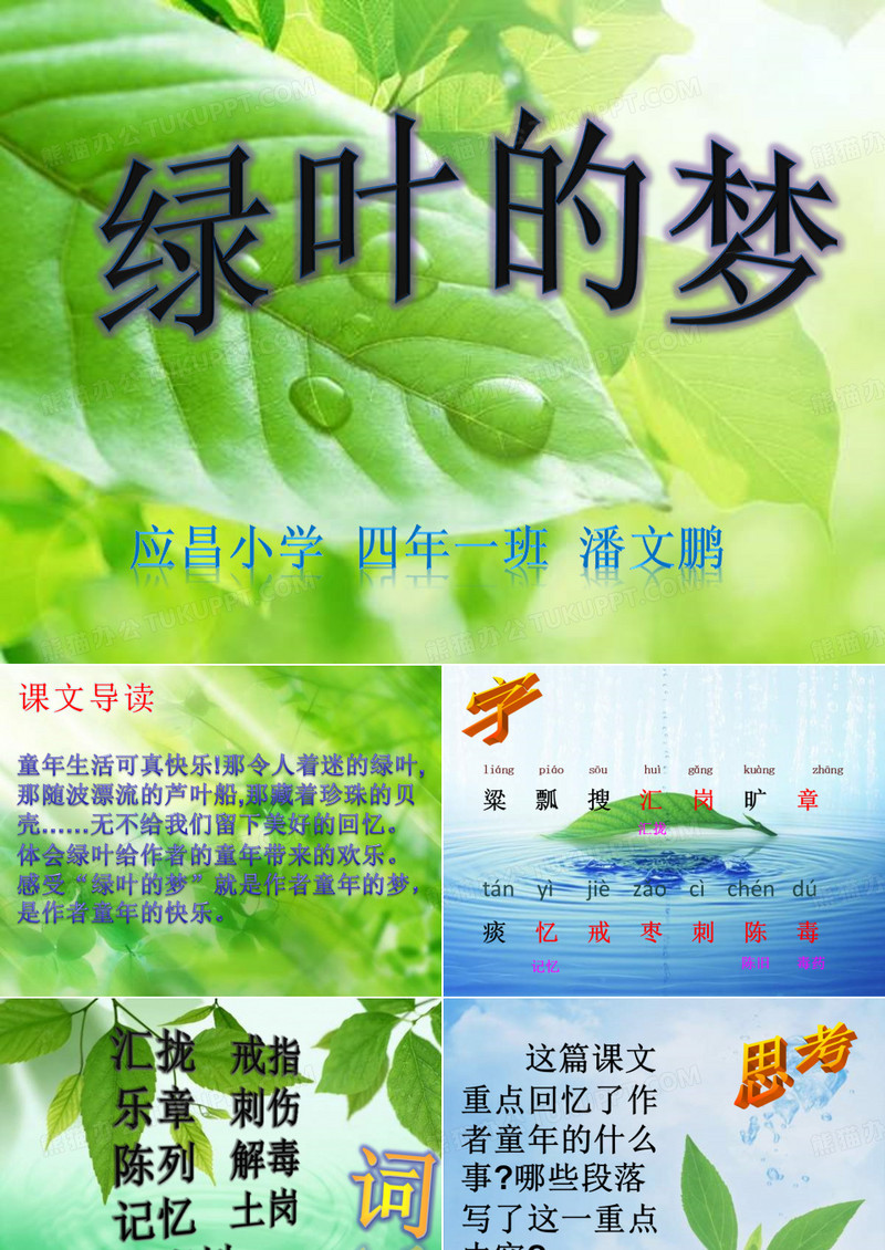 《绿叶的梦》
