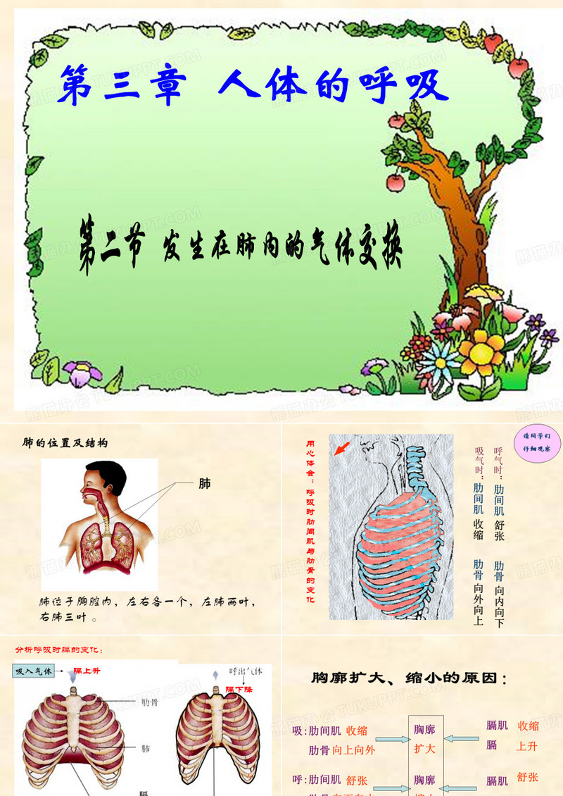 人的呼吸
