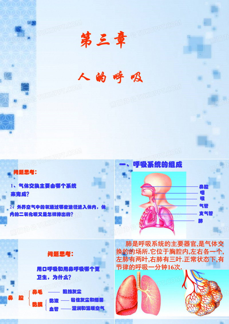 人的呼吸