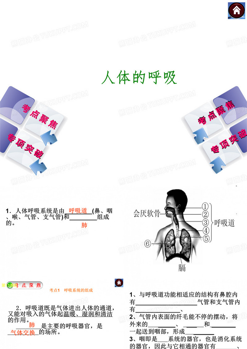人的呼吸-ppt课件