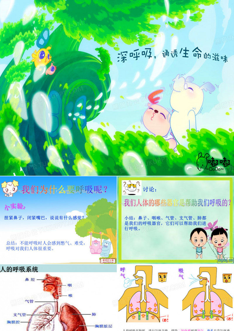 大班健康：人的呼吸