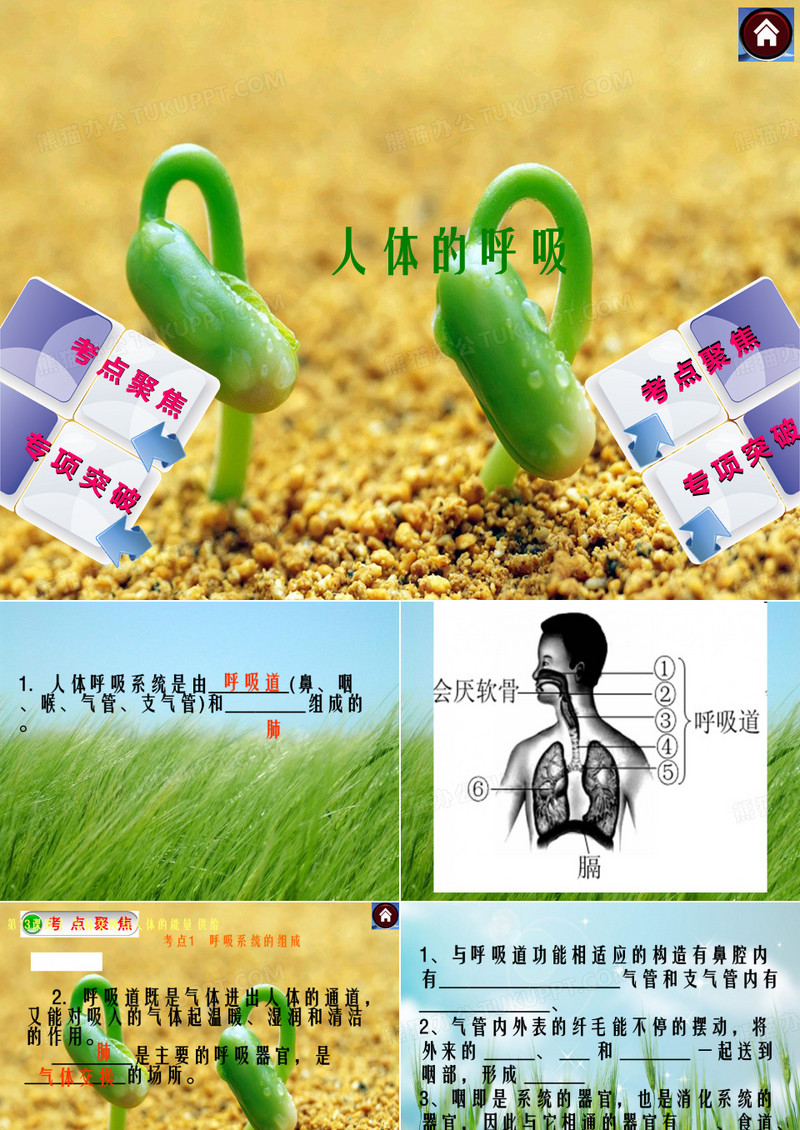 《人的呼吸》幻灯片PPT