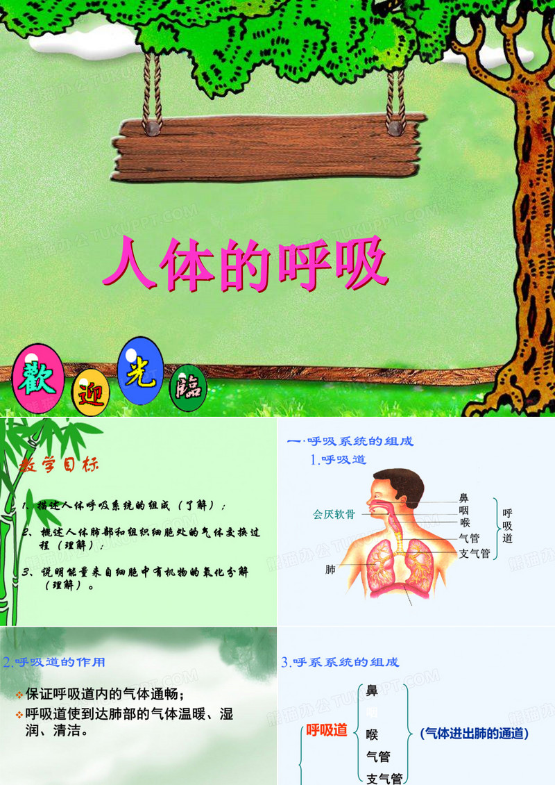 生物3.1人的呼吸