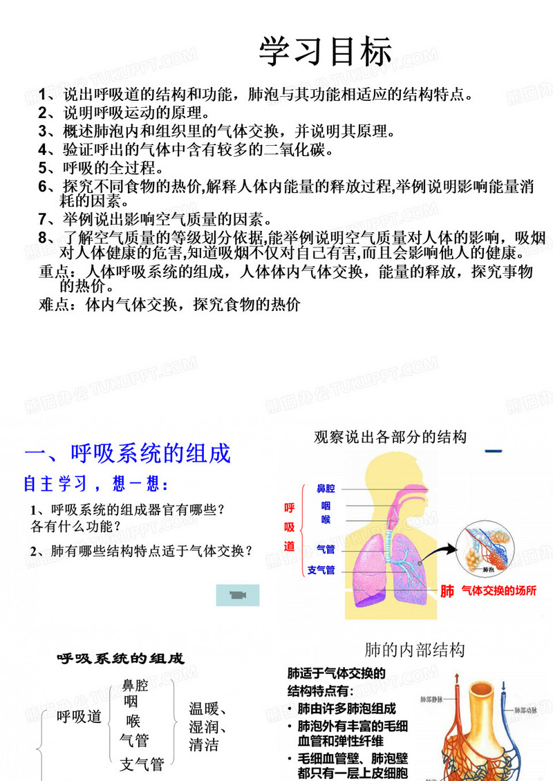 人的呼吸需要空气2