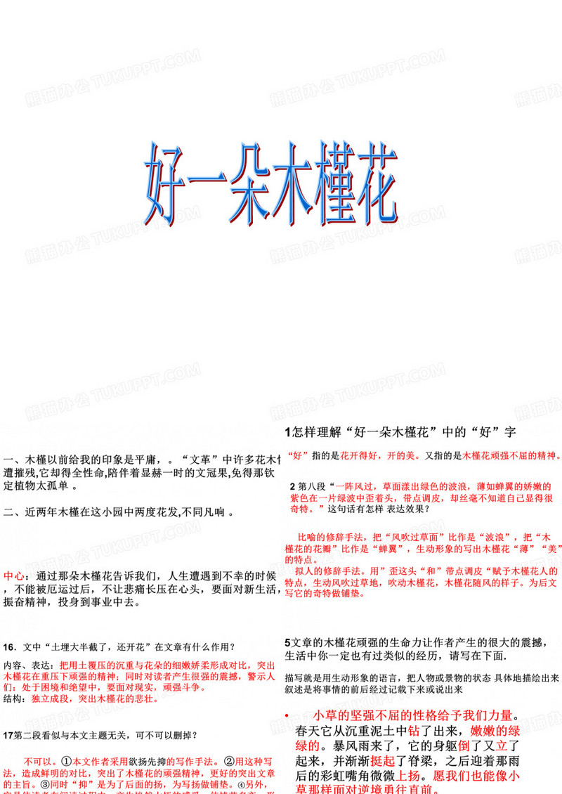 好一朵木槿花