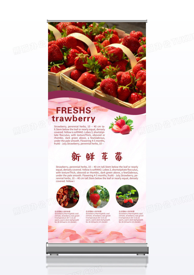 现摘新鲜草莓x展架