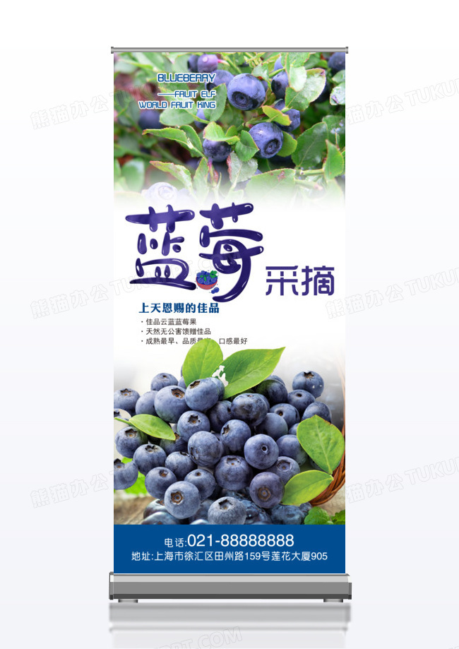 水果蓝莓采摘x展架