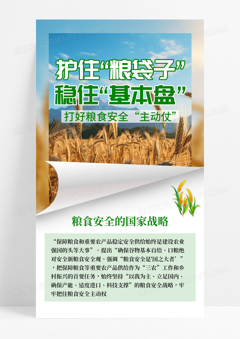 实拍风粮食农业农业粮食安全问题关注海报