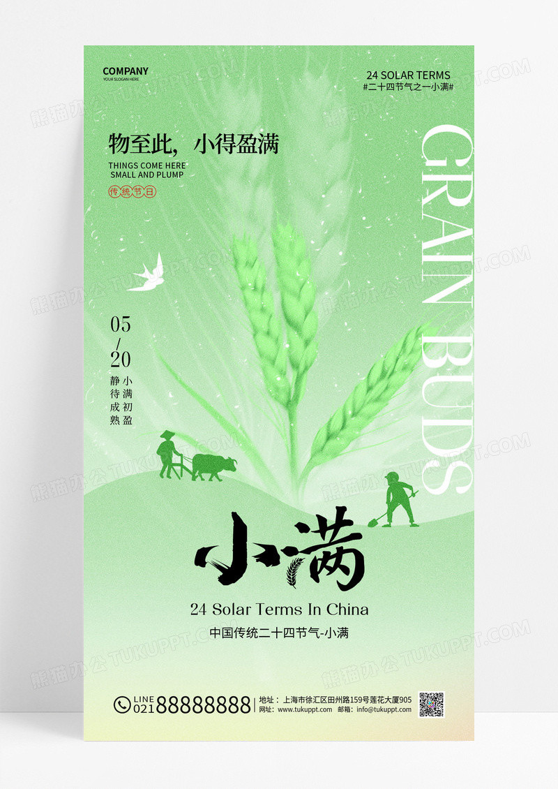 绿色弥散简约二十四节气小满节气海报