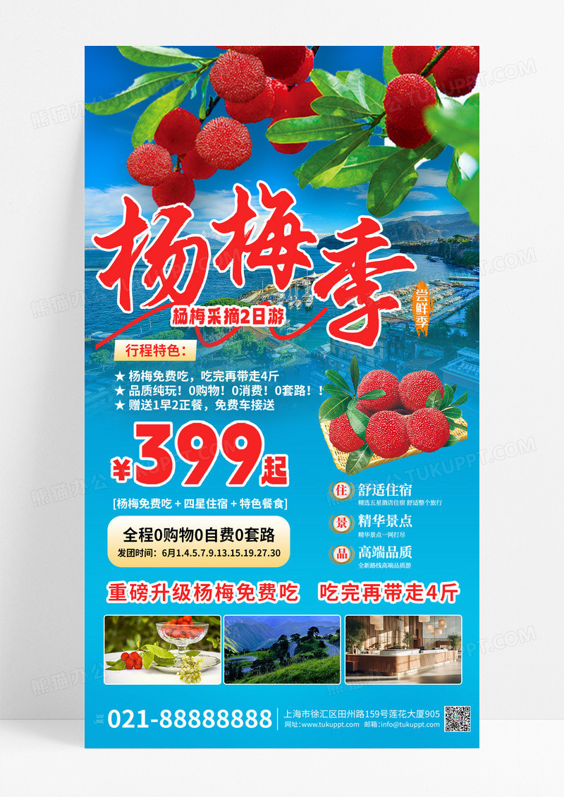 杨梅季旅游杨梅采摘杨梅促销杨梅蓝色手机海报