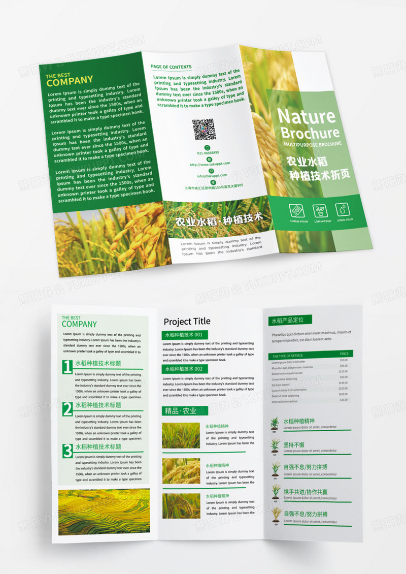 绿色农业水稻种植技术宣传三折页设计