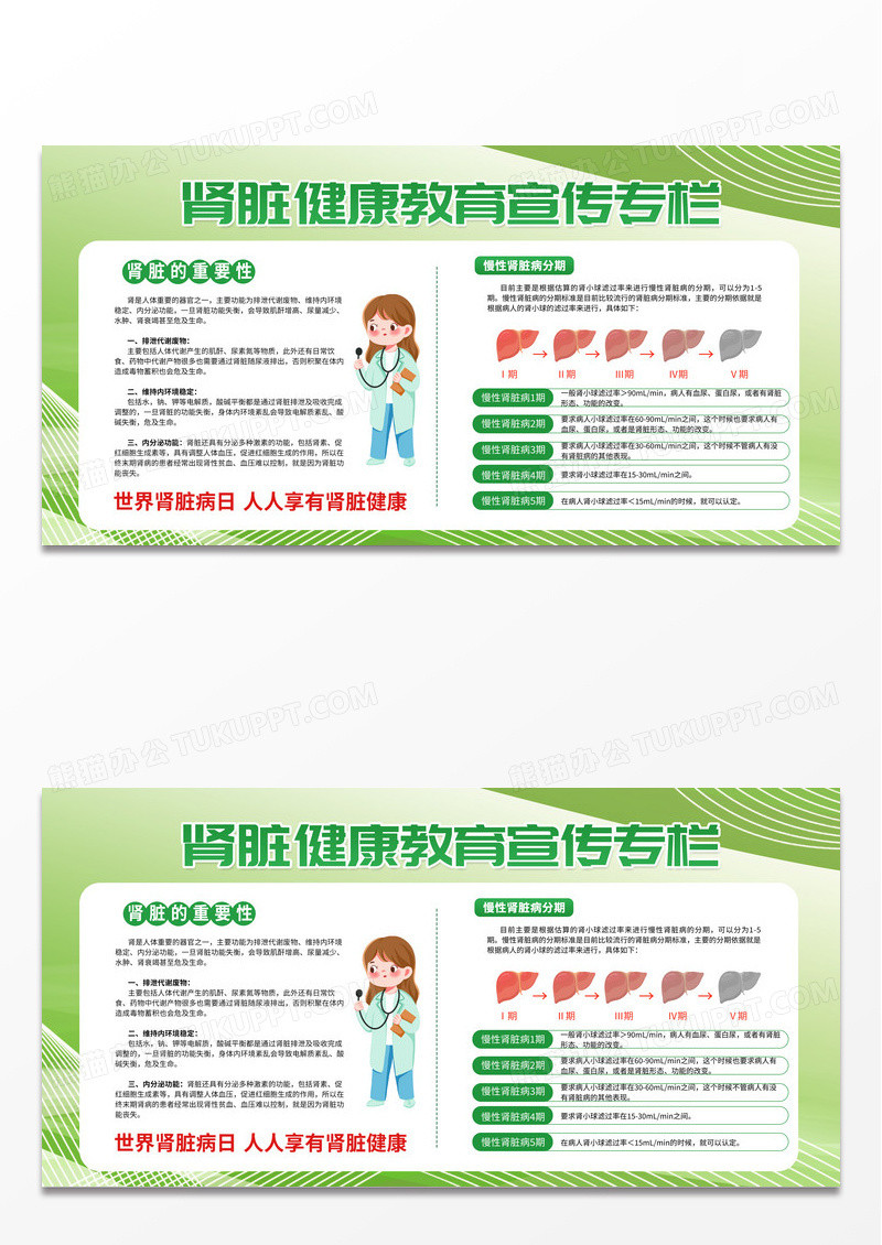 绿色简约时尚清新肾脏病防治健康教育宣传栏展板