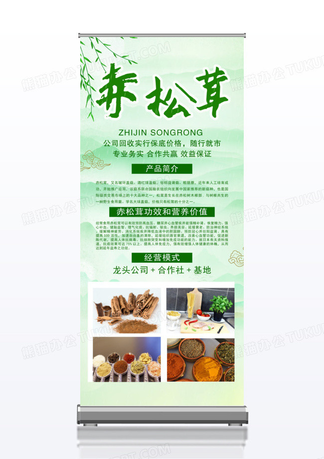 绿色调料松茸调味品展架易拉宝