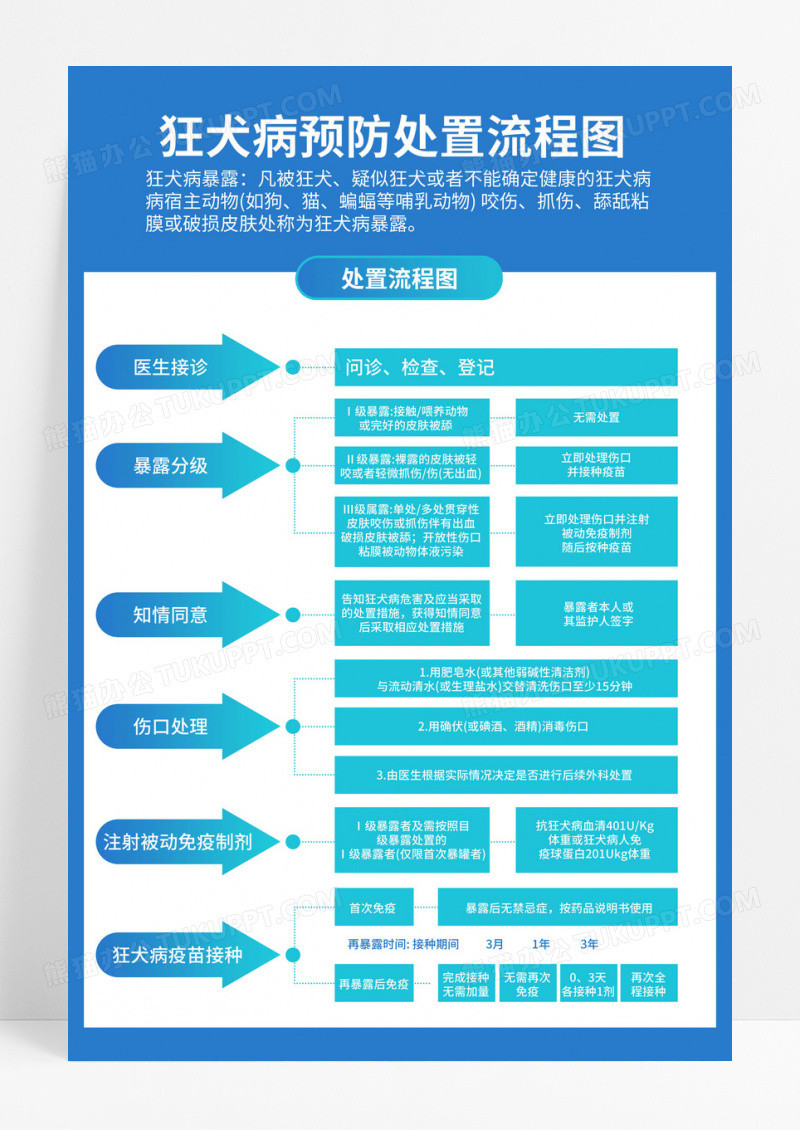 蓝色医院狂犬病预防处置流程图海报