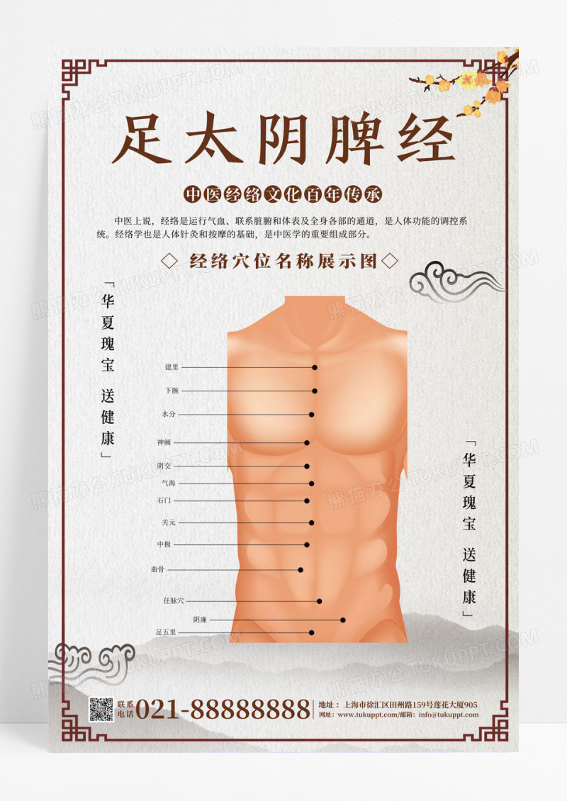 传统中医人体经络穴位套图海报
