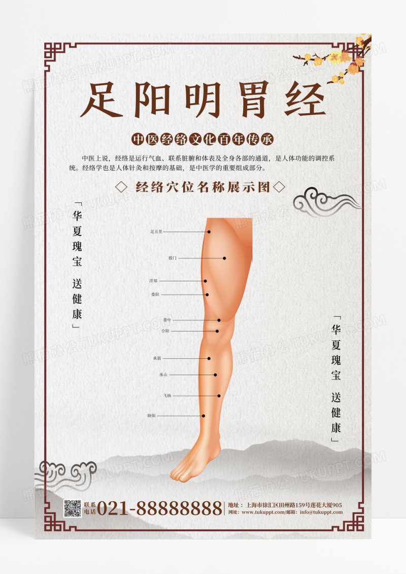 传统中医人体经络穴位套图海报
