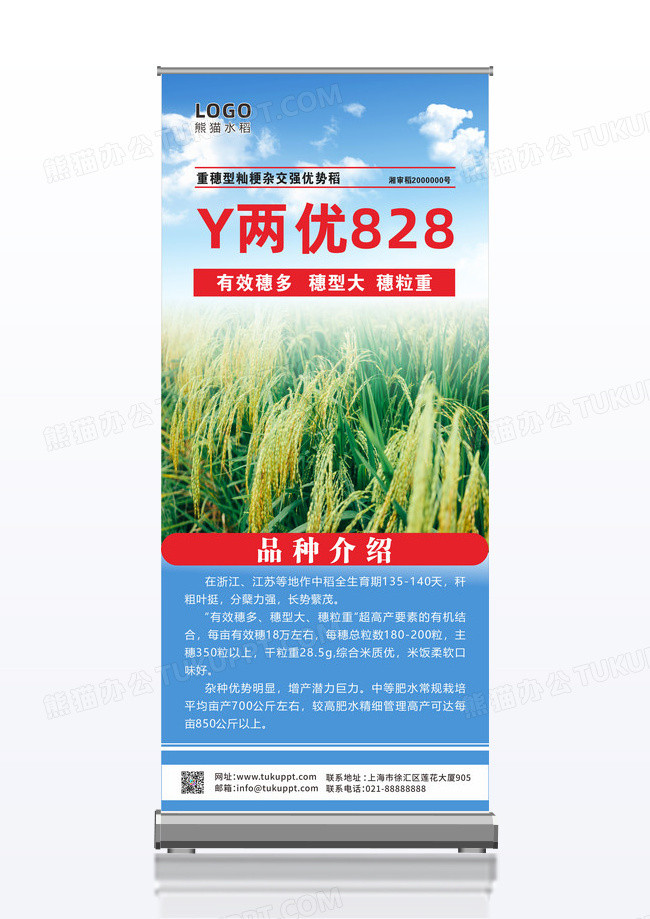 红色水稻粮食优质品种农产品宣传农业展