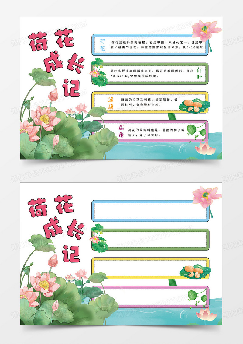 绿色简约荷花成长记植物记录卡小报手抄报