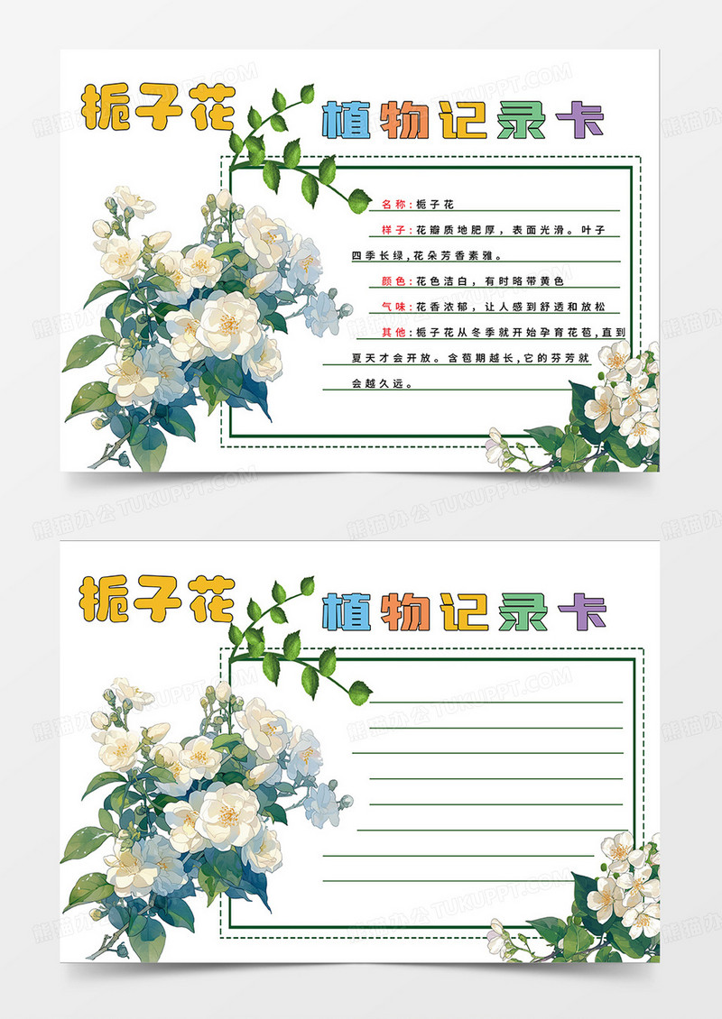 绿色简约栀子花植物记录卡小报手抄报