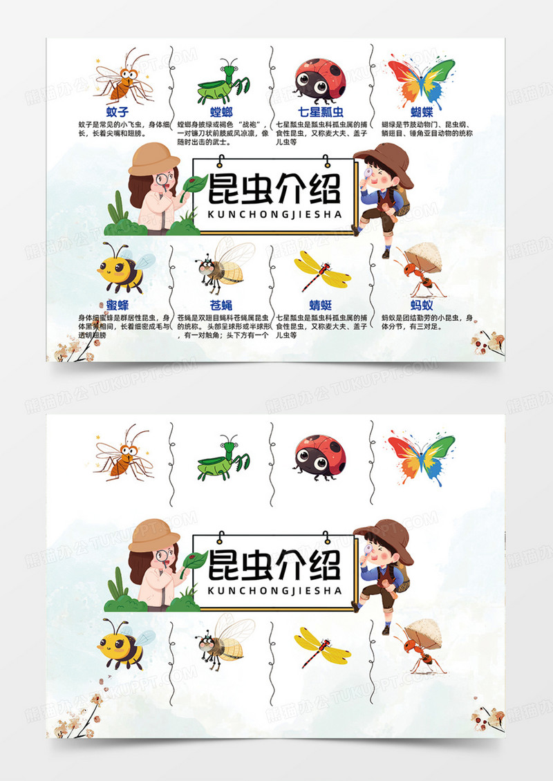 昆虫介绍简约创意卡通插画手抄报