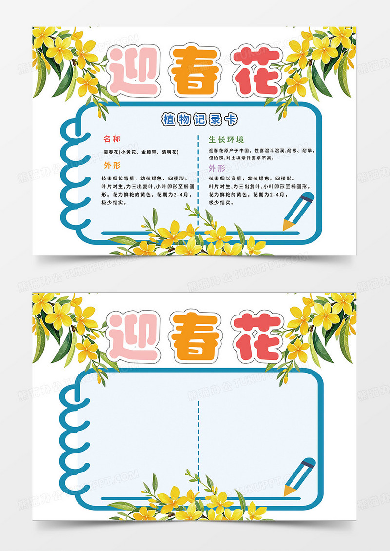 黄色简约迎春花植物记录卡小报手抄报
