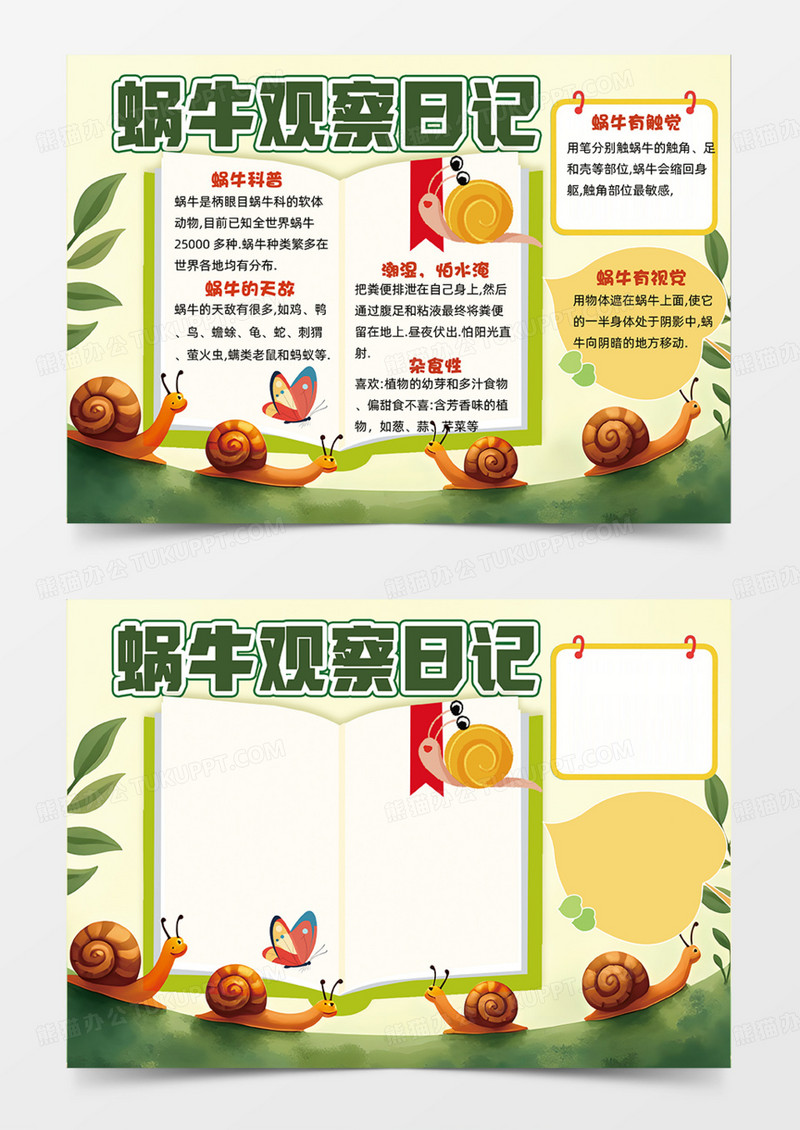 蜗牛观察日记可爱插画手抄报边框卡通