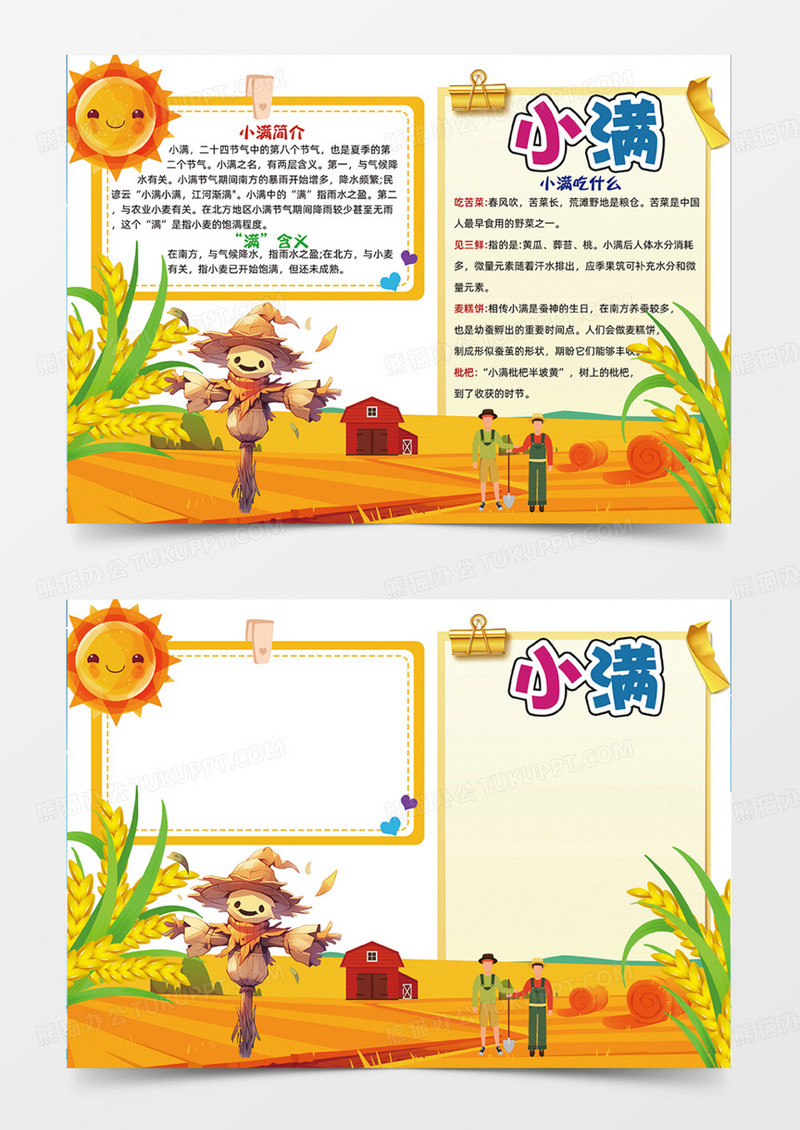小满节气二十四节气橙色主题简约插画手绘手抄报