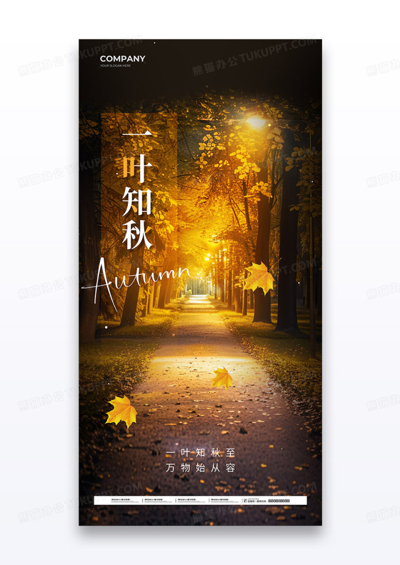 实拍风深夜一叶知秋秋天秋日氛围路灯海报