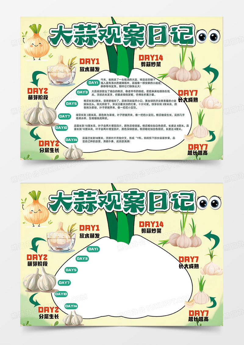 大蒜观察日可爱插画食物手抄报