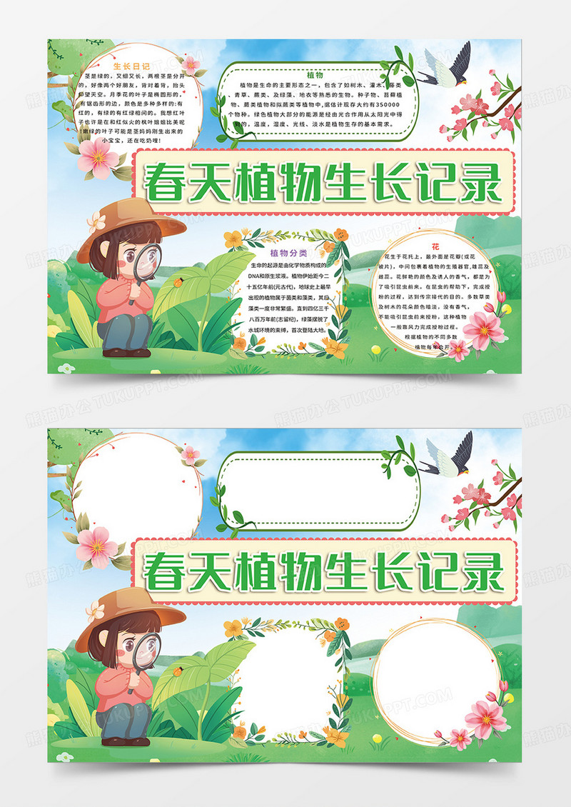 绿色插画风春天植物生长记录小报手抄报