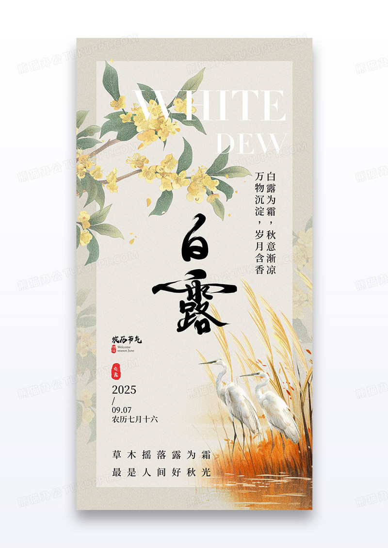 简约二十四节气白露白鹭芦苇桂花海报