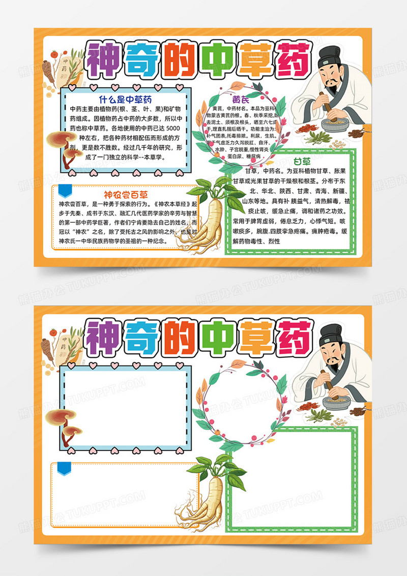 橙色传奇的中草药可爱插画手抄报
