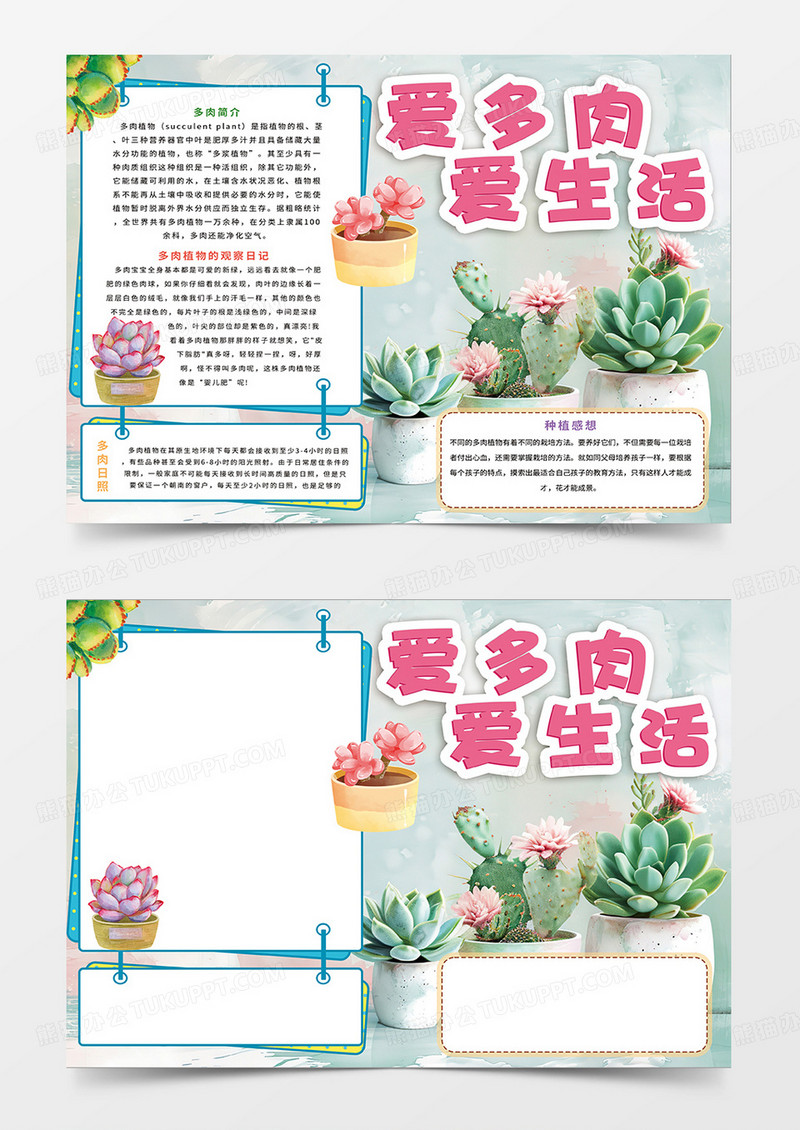 绿色清新爱多肉爱生活小报手抄报