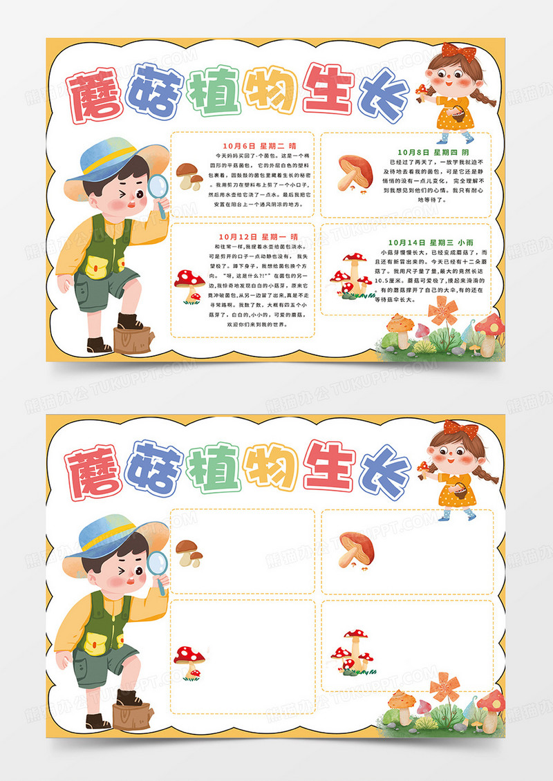 橙色简约蘑菇植物生长小报手抄报