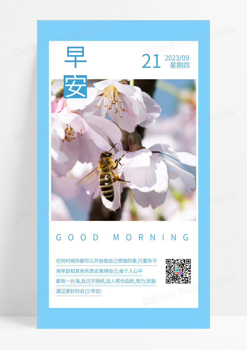  蓝色鲜花小雏菊背景清新简约早安日签海报设计手机海报
