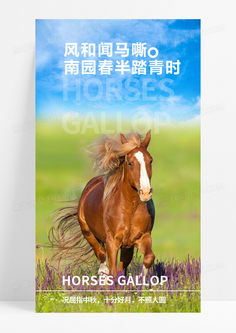 实拍蓝色南园春半踏青时蓝天白云骏马旅游摄影海报